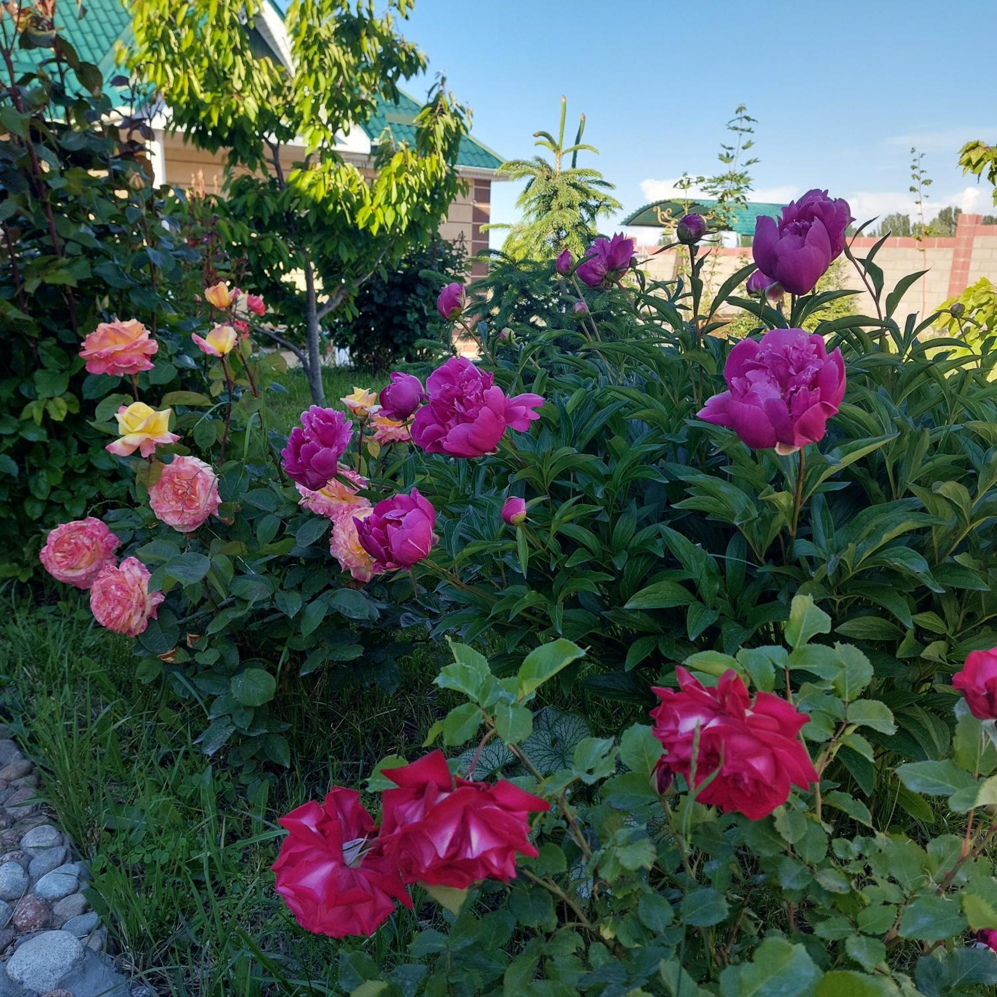 Svetlana Guest House Bokonbayevo Exterior photo